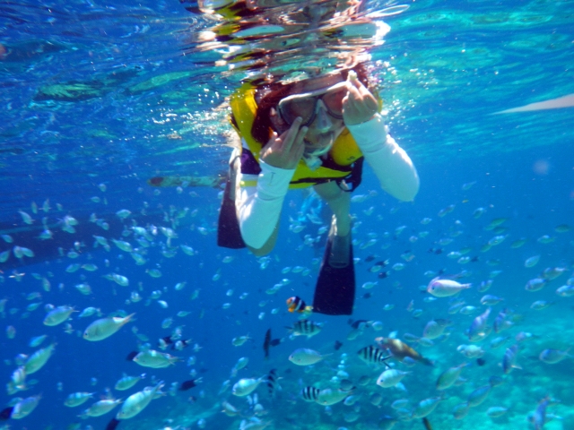 <a href="https://www.photo-ac.com/profile/1799964">CebuParadise</a>さんによる<a href="https://www.photo-ac.com/">写真AC</a>からの写真