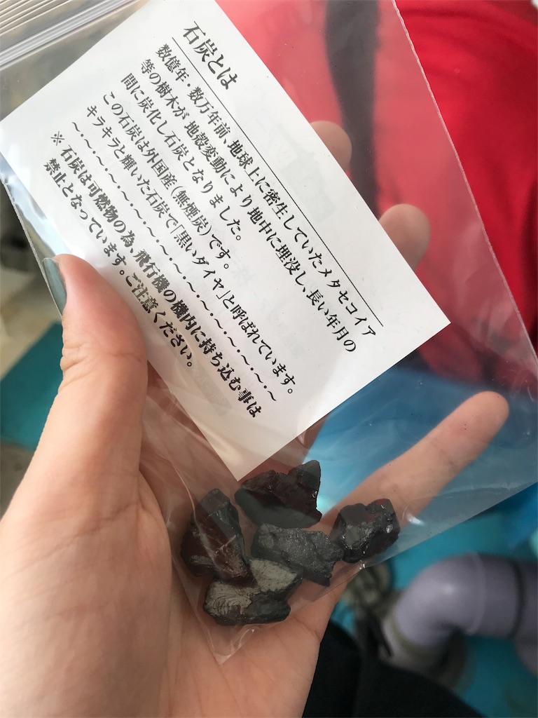 f:id:kinoko36:20180926205101j:image f:id:kinoko36:20180926205101j:image