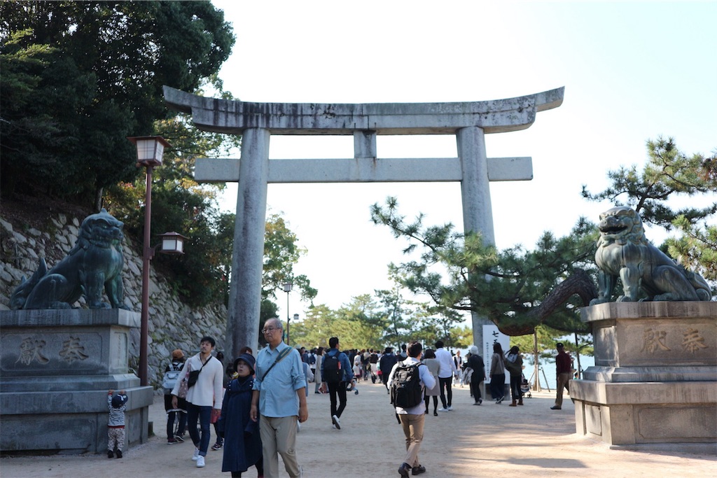 f:id:kinoko36:20181118201053j:image f:id:kinoko36:20181118201053j:image