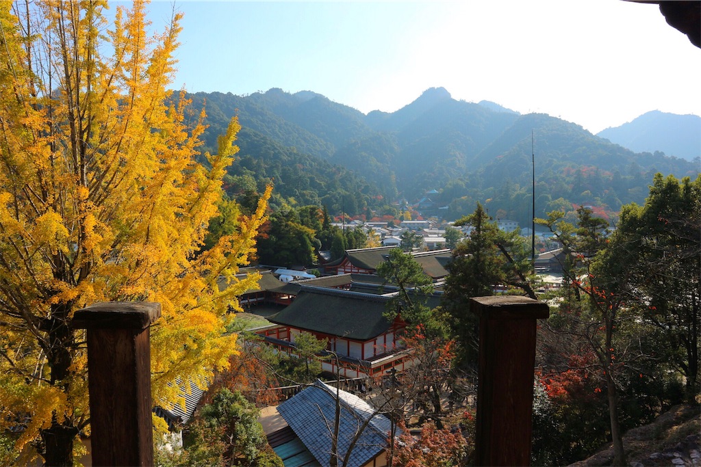 f:id:kinoko36:20181118205444j:image f:id:kinoko36:20181118205444j:image
