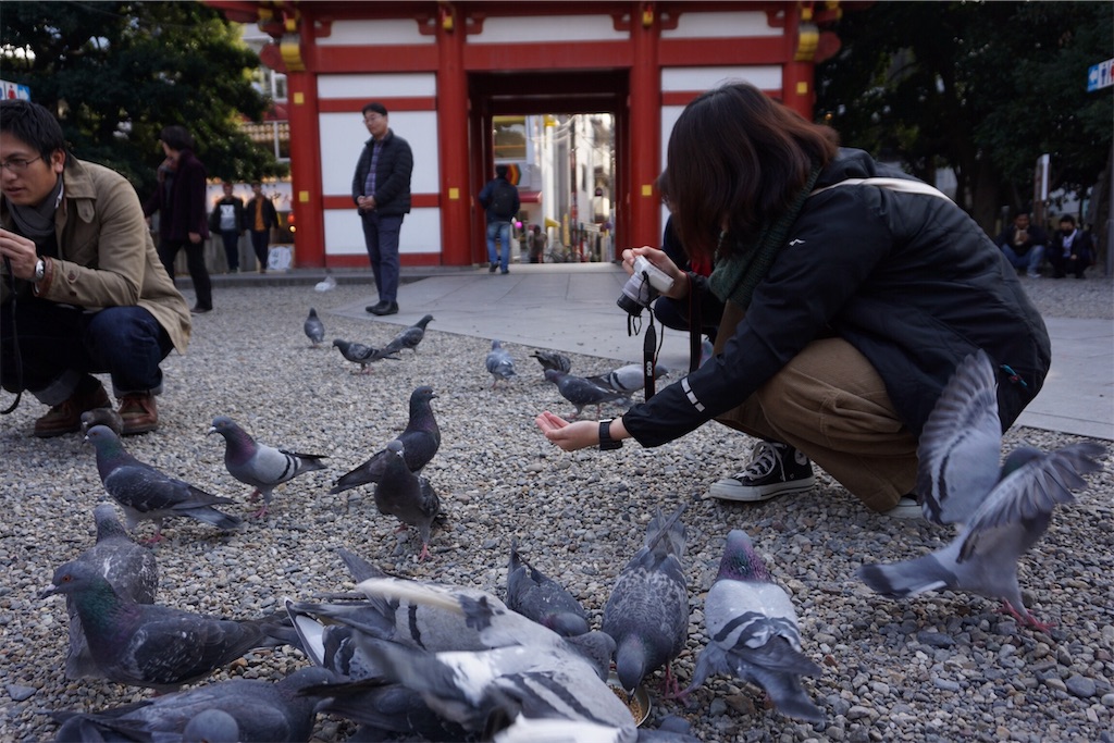 f:id:kinoko36:20181204214437j:image f:id:kinoko36:20181204214437j:image