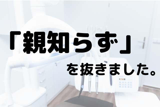 f:id:kinoko36:20190712231239p:plain f:id:kinoko36:20190712231239p:plain